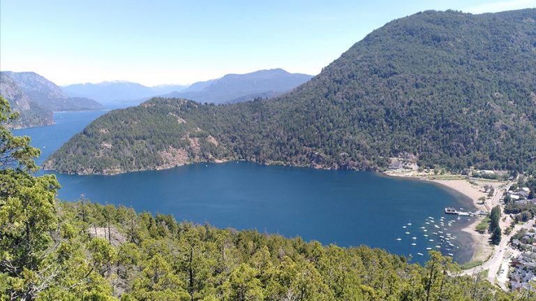 Newsletter #4 – De l’Oreille à la Plume