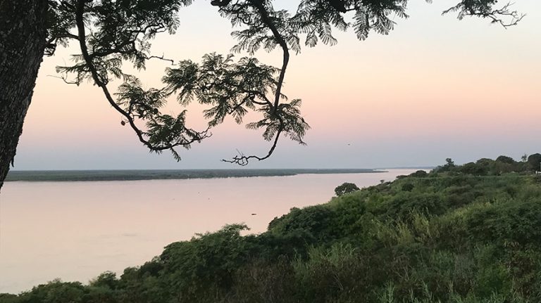 Newsletter #5 – De l’Oreille à la Plume